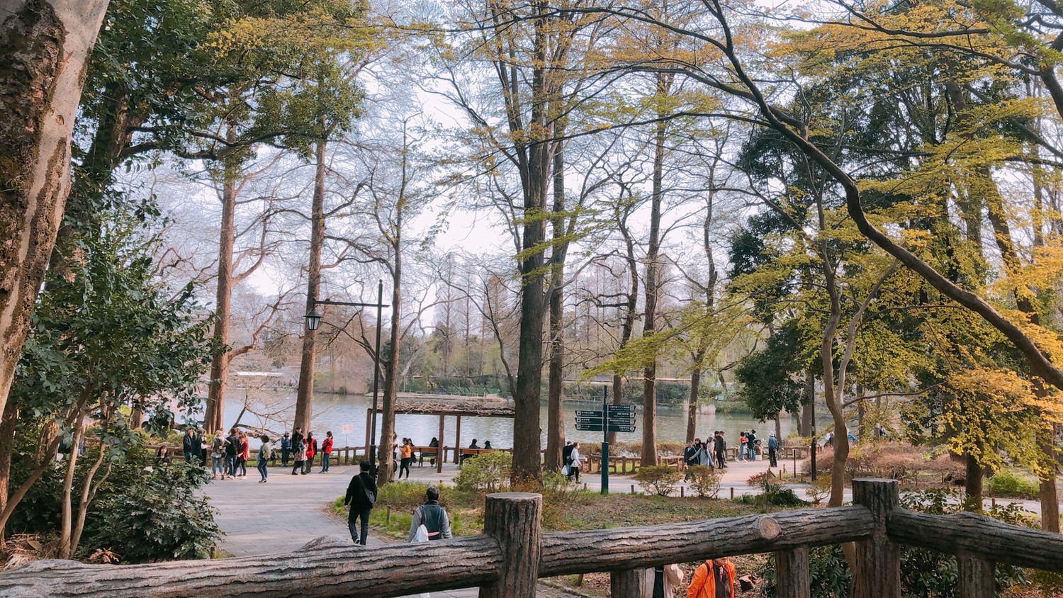 露營、窯烤、園區導覽